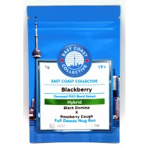 East Coast Collective Shatter *80-90% THC* Blackberry