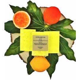 Gaia CBD Anti-Bacterial Electric Citrus Soap