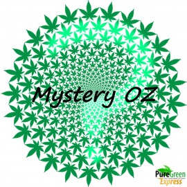 1 oz Mystery *Special*