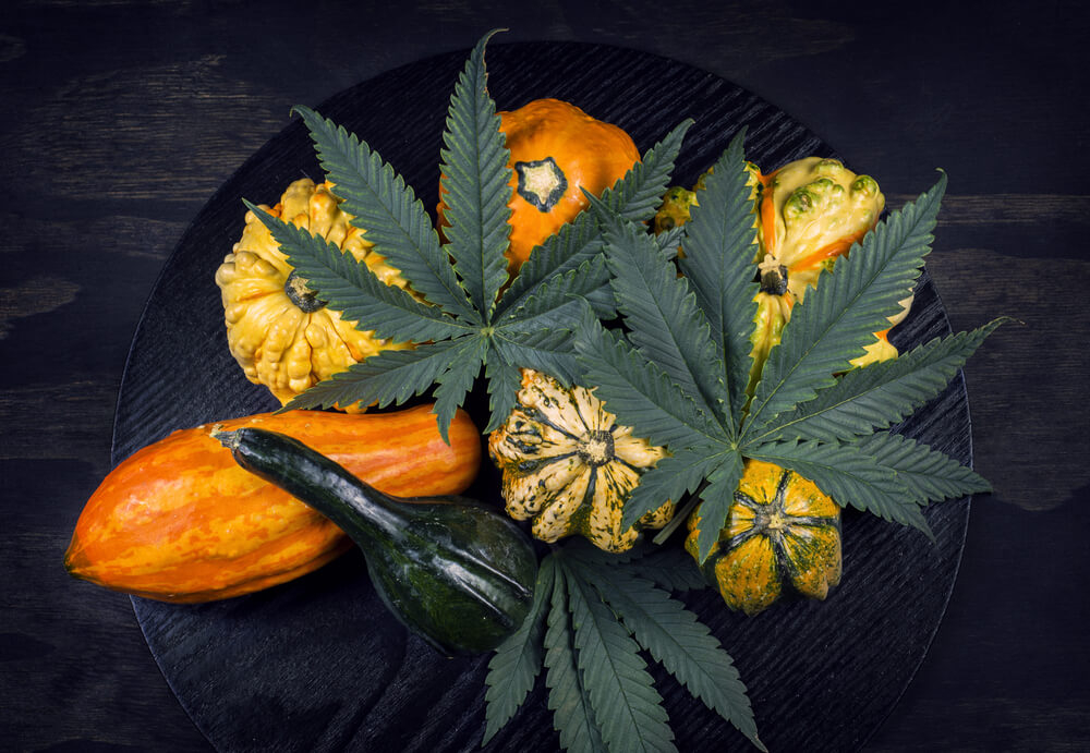Fall and Cannabis