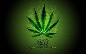 History of 420