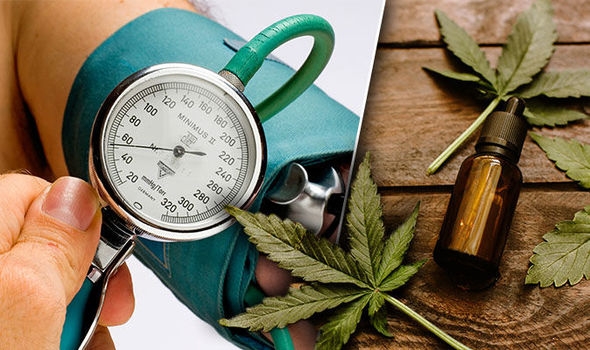 Cannabis Good for High Blood Pressure