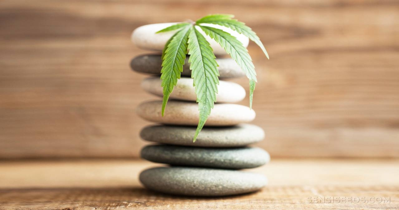 Cannabis for Spiritual Practice