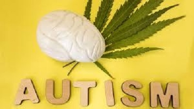 cannabis treatment for autism