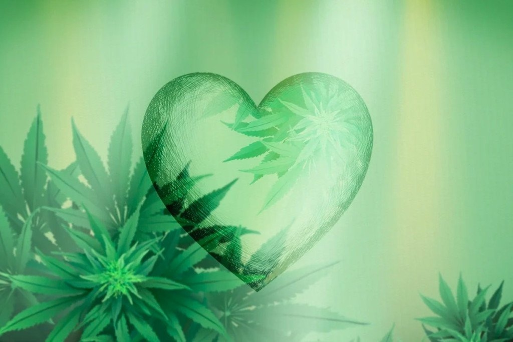 Cannabis Good for High Blood Pressure