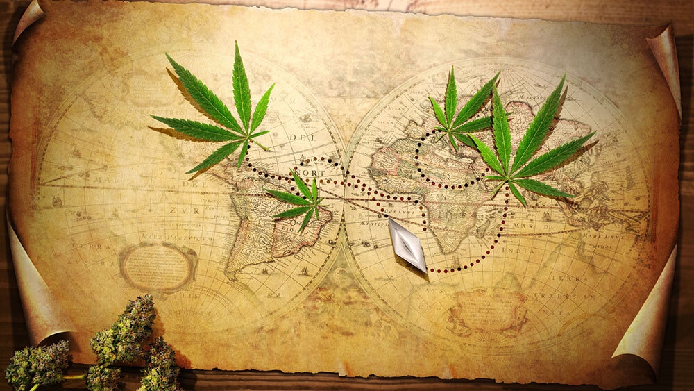 world history cannabis