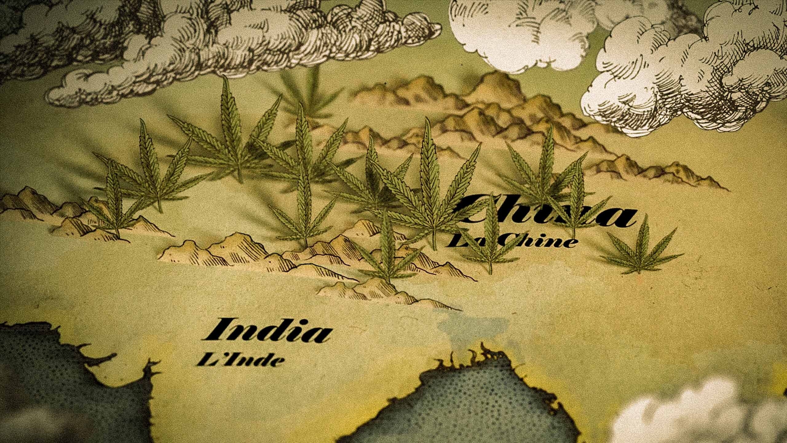 complete world history cannabis