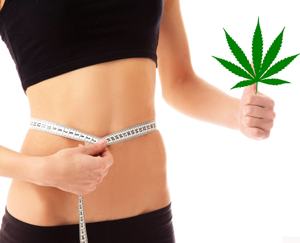 cannabis and slimmer waist