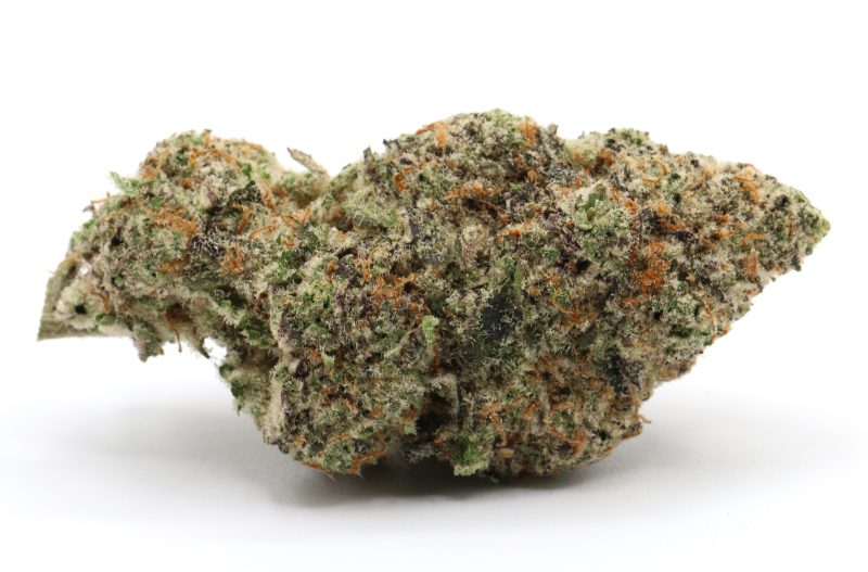 MacD1