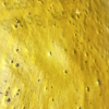 ggcshatter 2