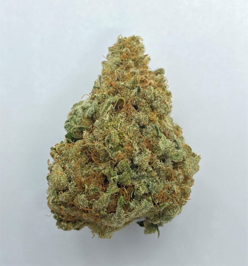 bruce banner 1  4
