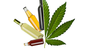 marijuana vs alcohol which is worse or better 35887 w800 2