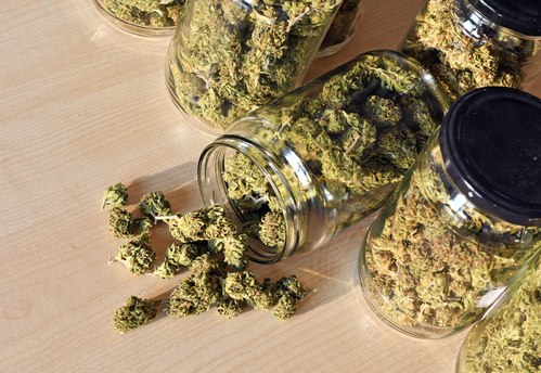 how to store weed 2