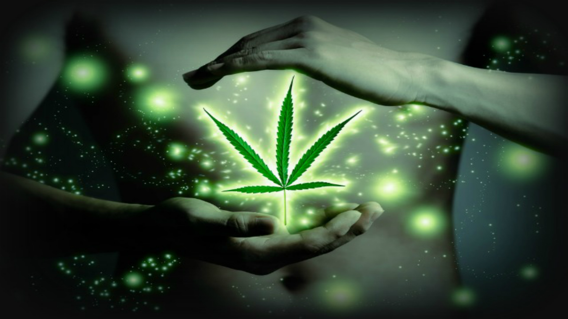 myths about cannabis 2