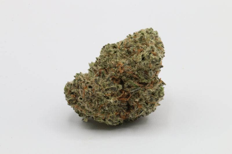 Peyote Cookies