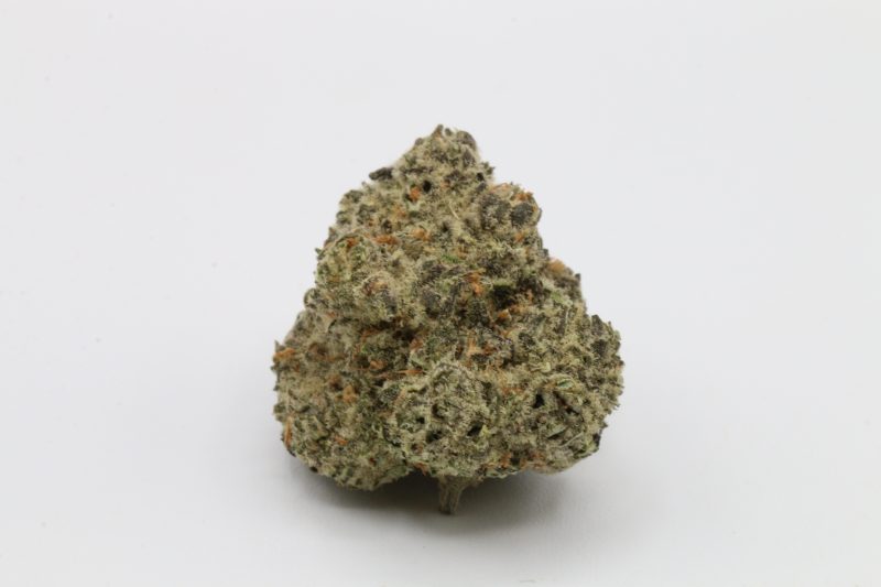 PeyoteCookies2