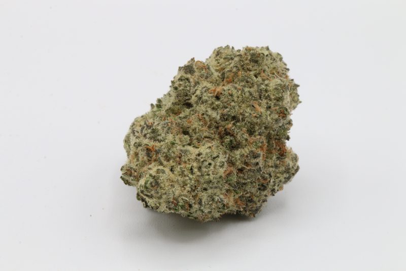 PeyoteCookies3
