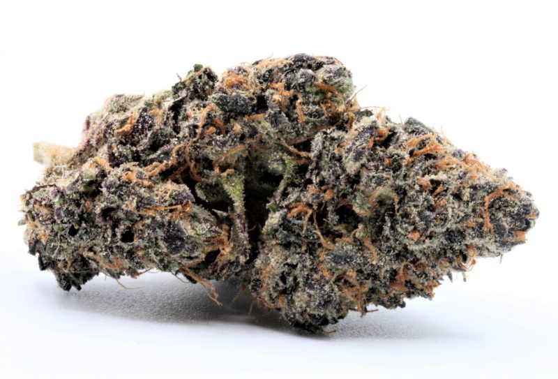 zkittlez copy resized edited 4