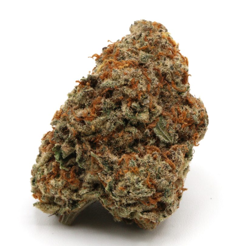 PlatinumCookies1