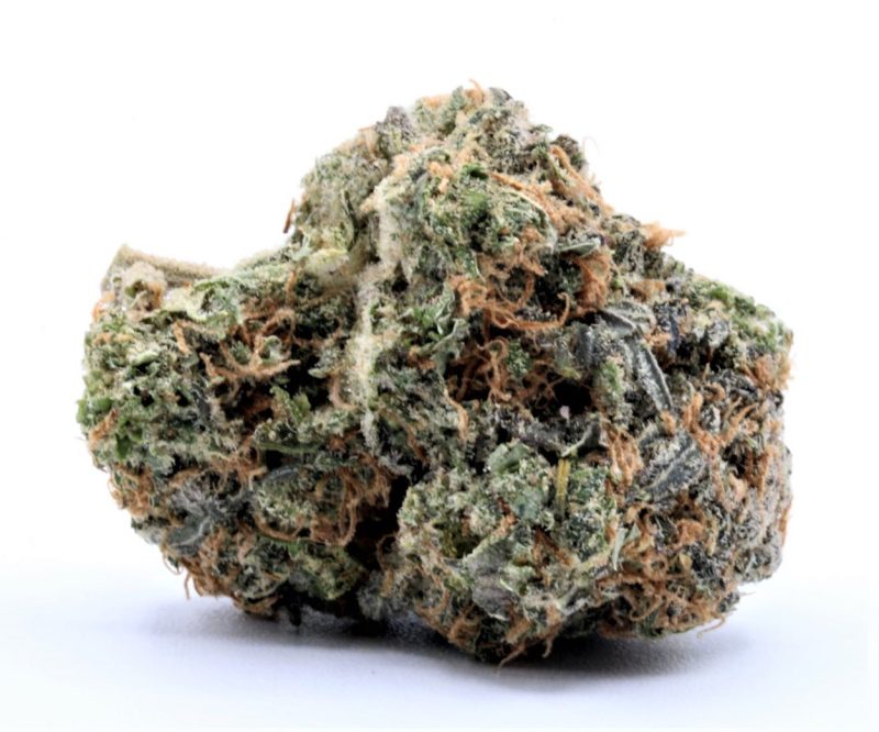 zombiekush4 copy resized edited oct 22 2 4
