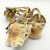 shroompic 1 2 4