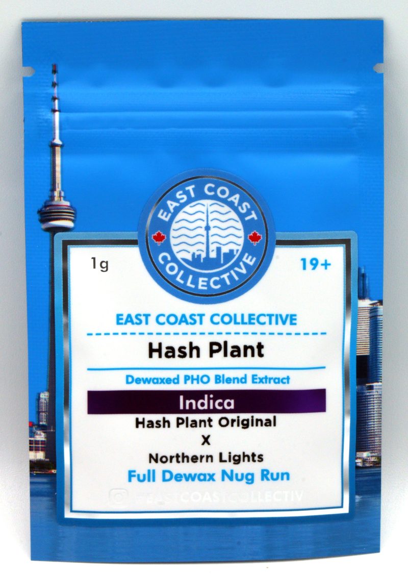 hashplant copy resize edit 4 scaled