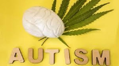 cannabis and autism