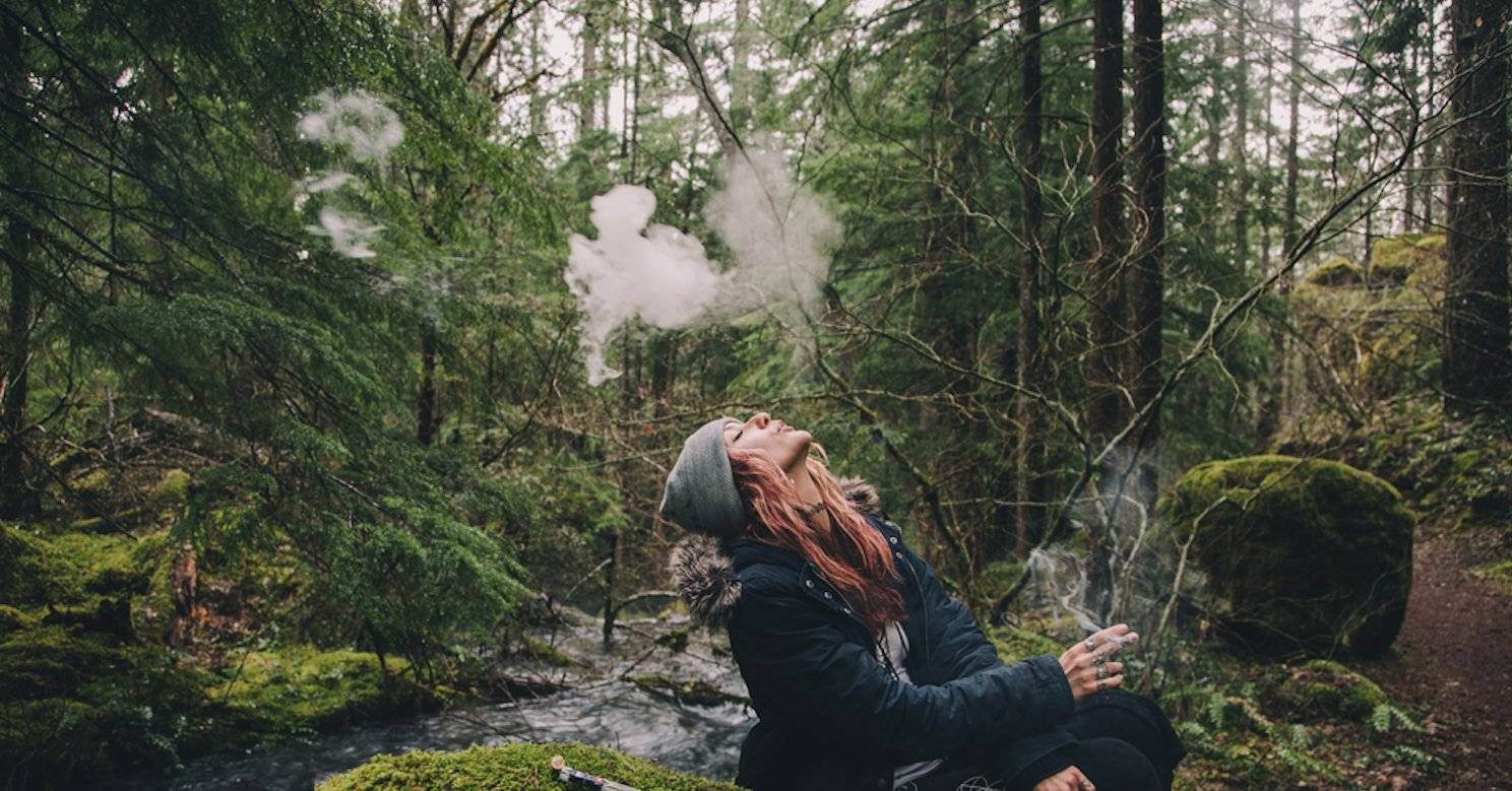 HEADER cannabisandnature