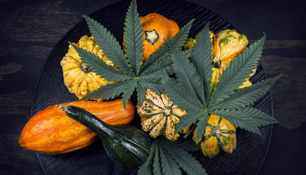 autumn pumpkin fall cannabis shutterstock 4949058671