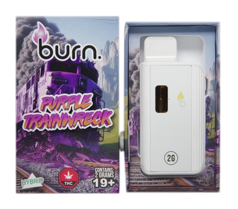 purp train front 4 scaled