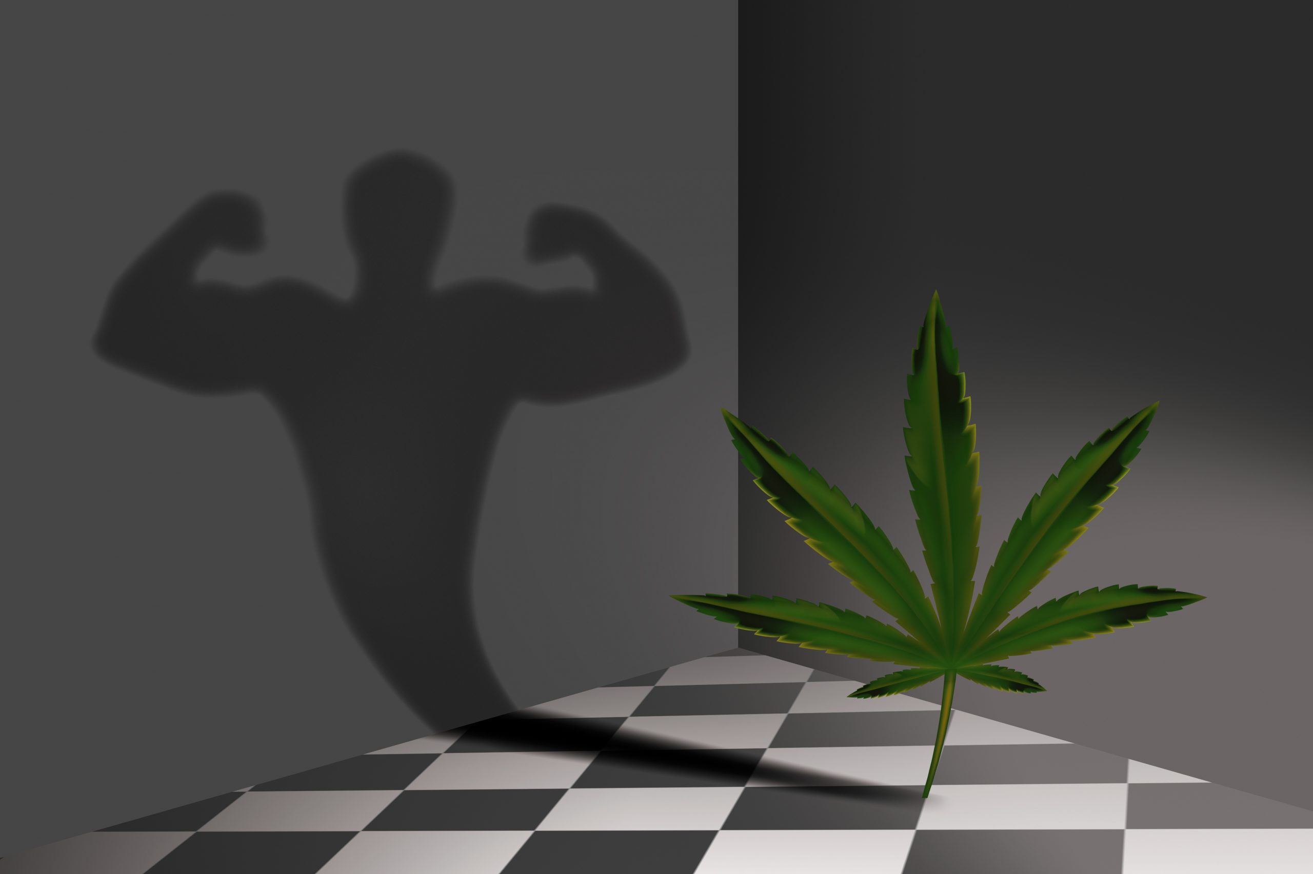 CBD Bodybuild scaled 1