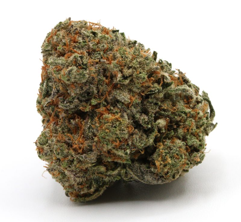 MACMACSlurricane1