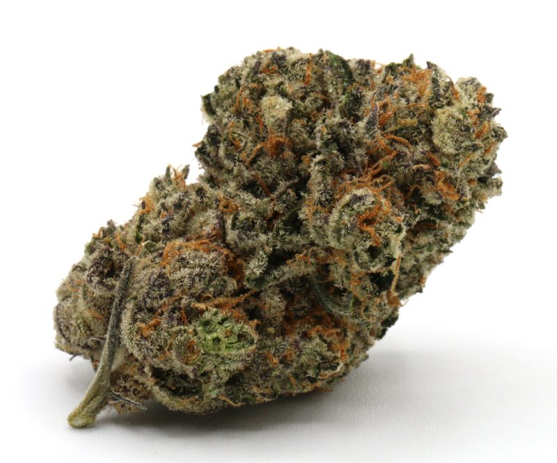 MACMACSlurricane2
