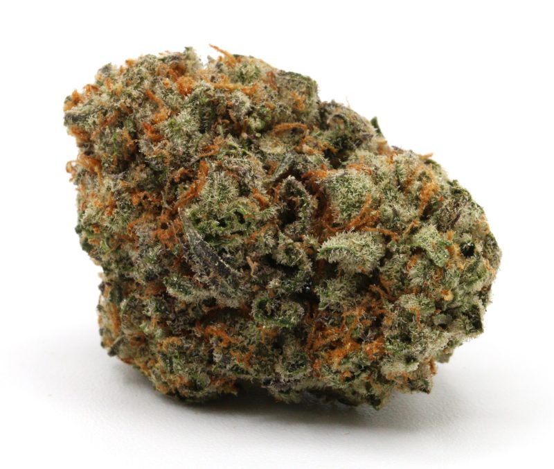 MACMACSlurricane3