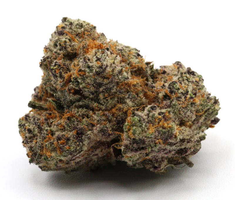 Slurricane1