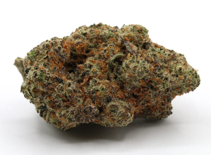 Slurricane2
