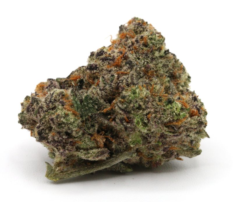Slurricane3