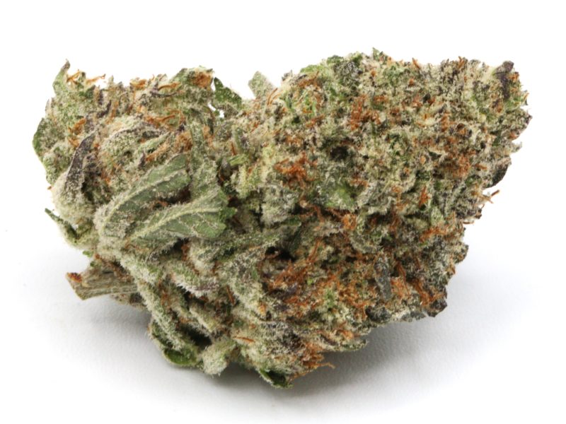 cherrybubgum3 4 scaled