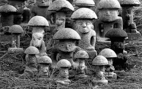 magic mushrooms