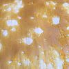 shatter1 smaller 1 1 4