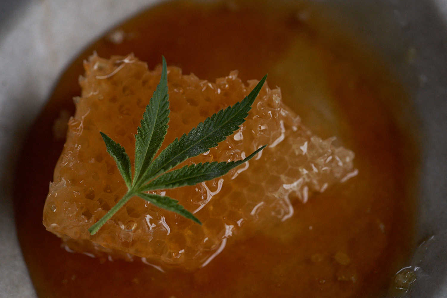 Rise Cannabis Honey 0051