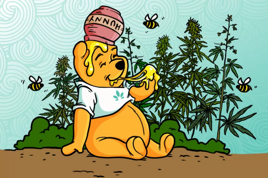 pooh with cannahoney