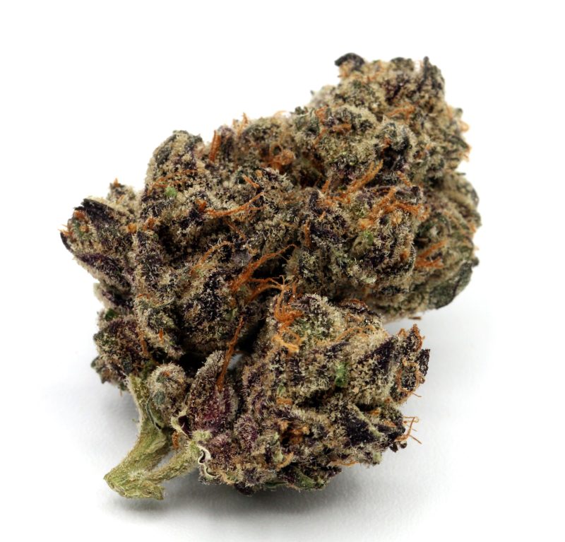 darkrain1 purple skittlez resize edit 1 4 scaled