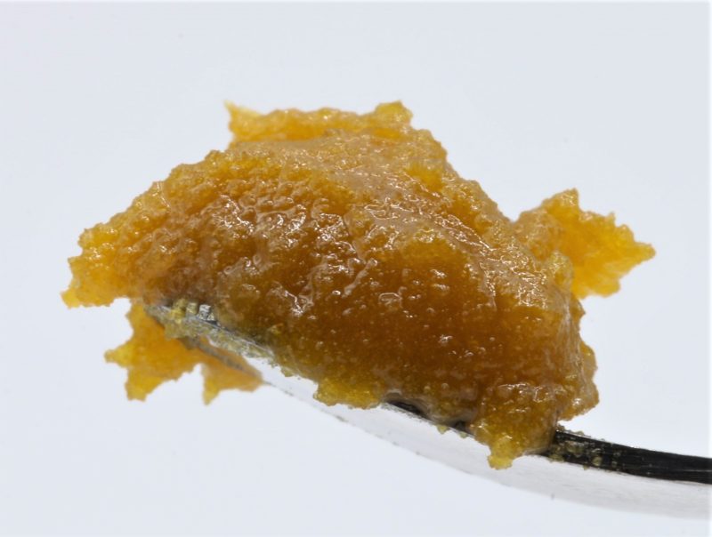 lemon1 resize edit 4
