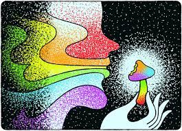 magic mushrooms 1