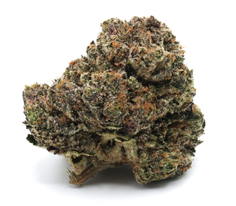 pinkstarburst1 1 4 scaled