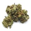 strawberrycough1 4 scaled