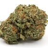 PurpleGelato2 1
