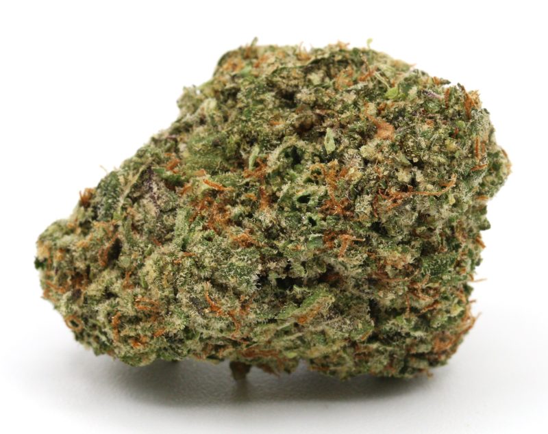 PurpleGelato2 2