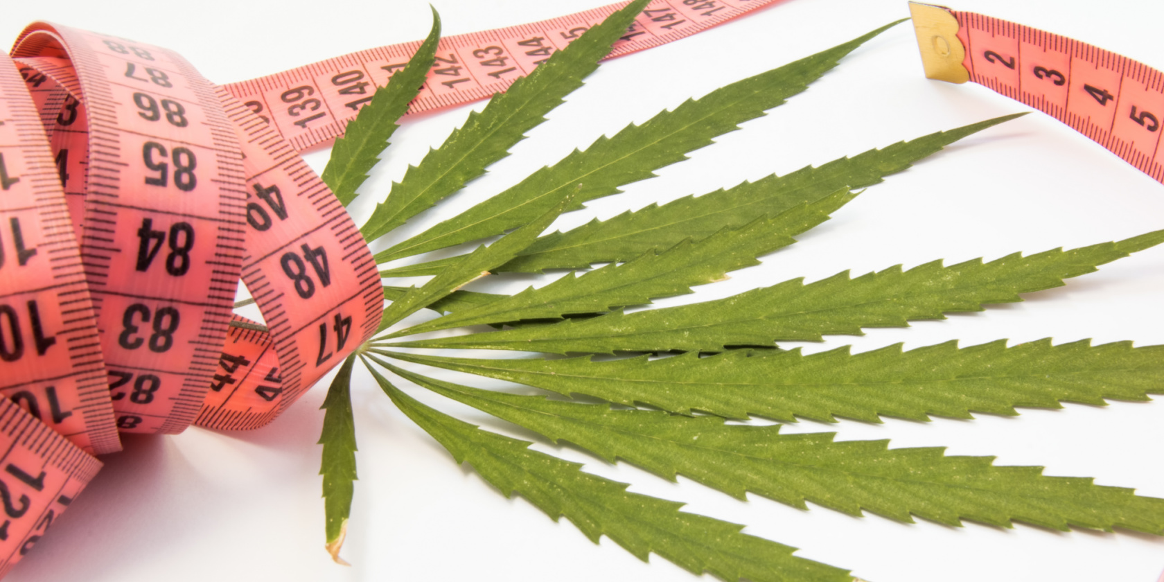 cannabis for slimmer waist